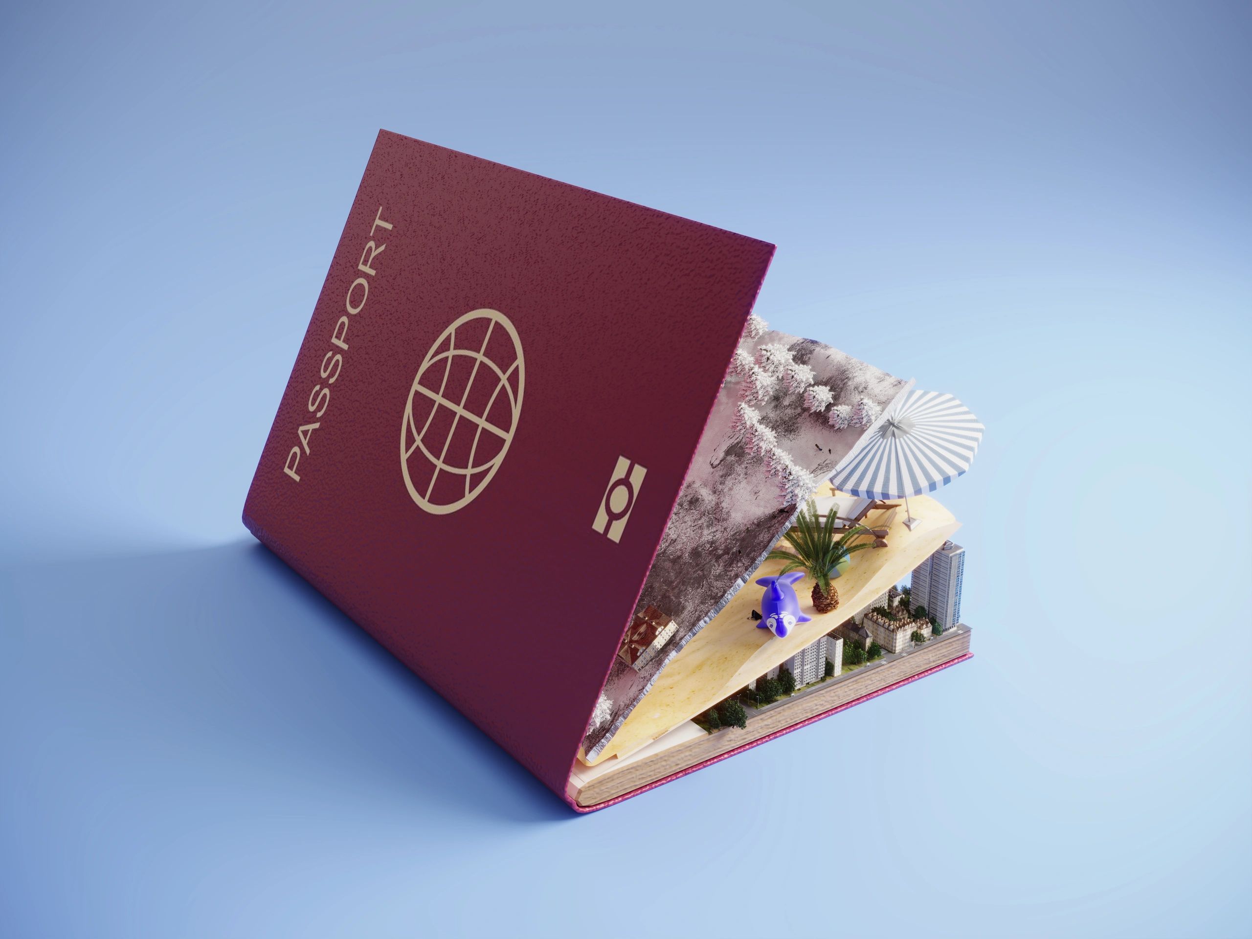 Ukrainian passport service